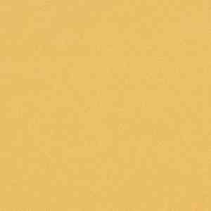 Линолеум FORBO Sarlon Colour 15dB 4805T4315 golden stardust фото ##numphoto## | FLOORDEALER